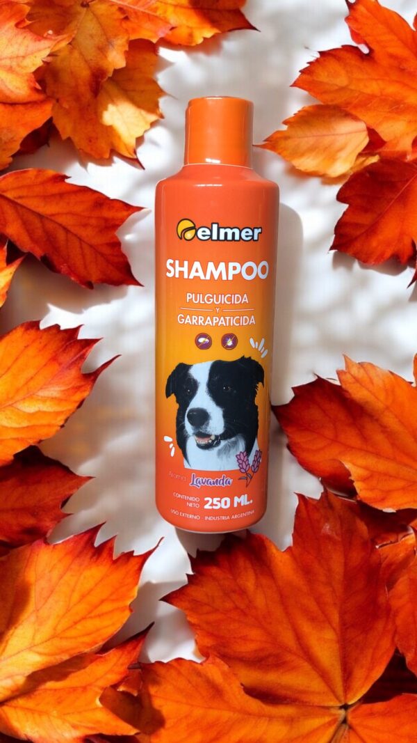 Shampoo Elmer