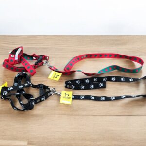 Conjunto pechera regulable y correa nylon