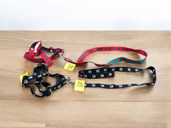 Conjunto pechera regulable y correa nylon