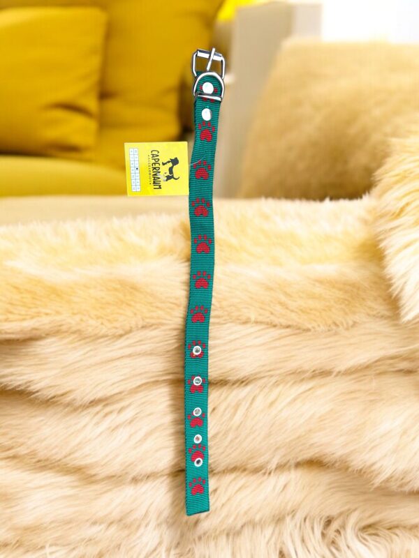 Collares p/ perros