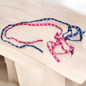 Conjunto pechera fija y correa nylon