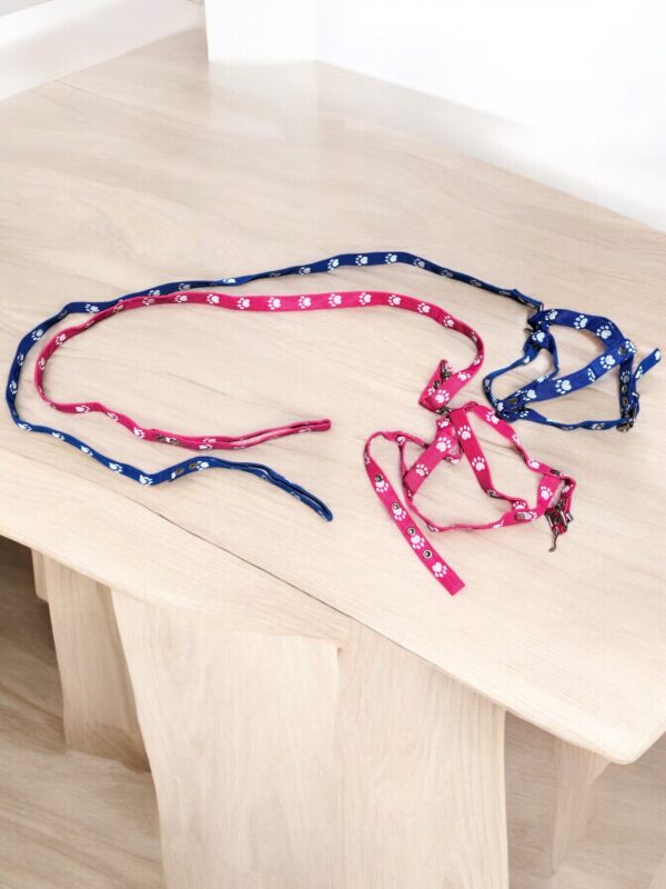 Conjunto pechera fija y correa nylon