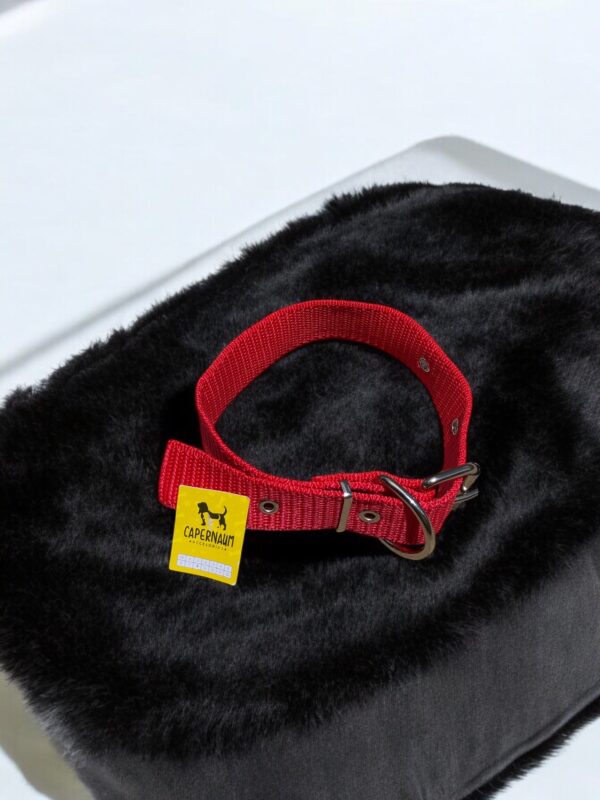 Collar cinta nato