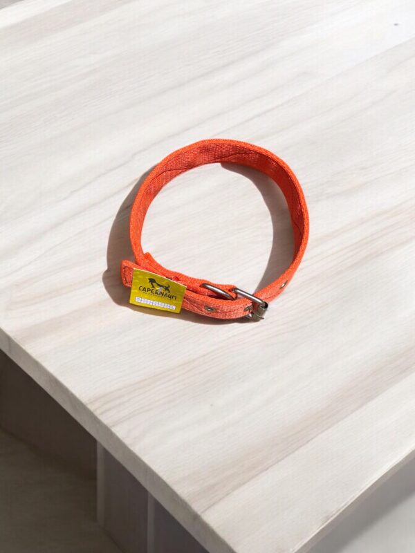 Collar reforzado ( Doble cinta nylon cocida)